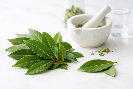 Bay Leaf spice — fresh green bay leaves on a white surface with a mortar and pestle