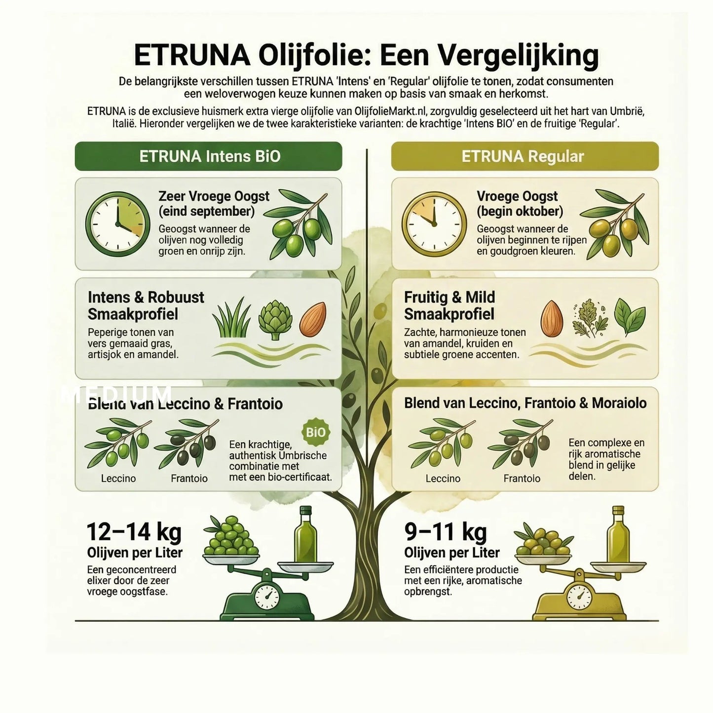 Etruna Duo Pack — Intense BIO + Regular Extra Vierge Olijfolie | Umbrië
