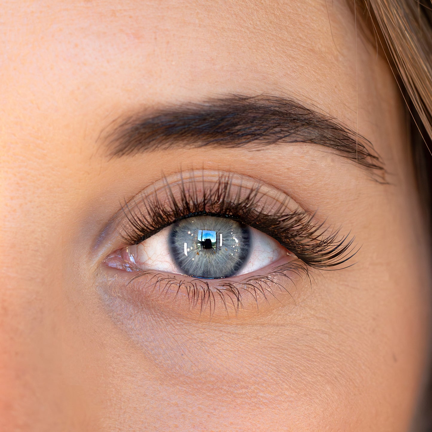 Single lashes (different lengths) | Light Volume