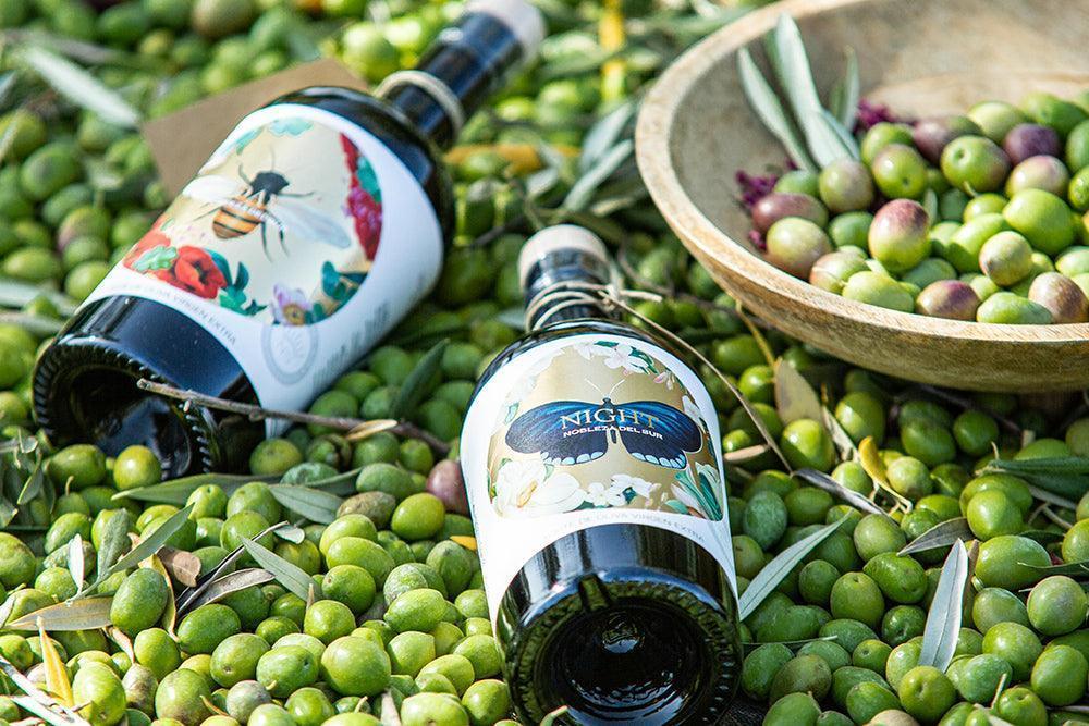 NOBLEZA DEL SUR – ECO Night