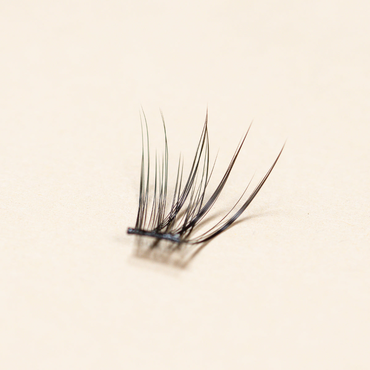 Single lashes (different lengths) | Whispy Light
